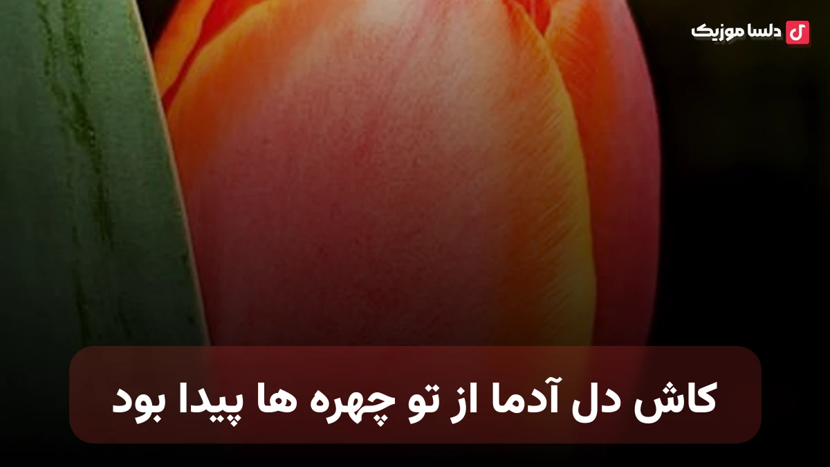 کاش دل آدما از تو چهره ها پیدا بود هوش مصنوعی